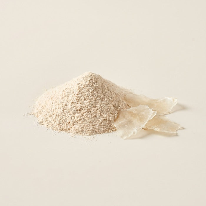 Chitosan