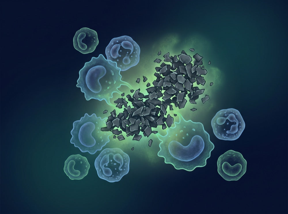 Immune response
