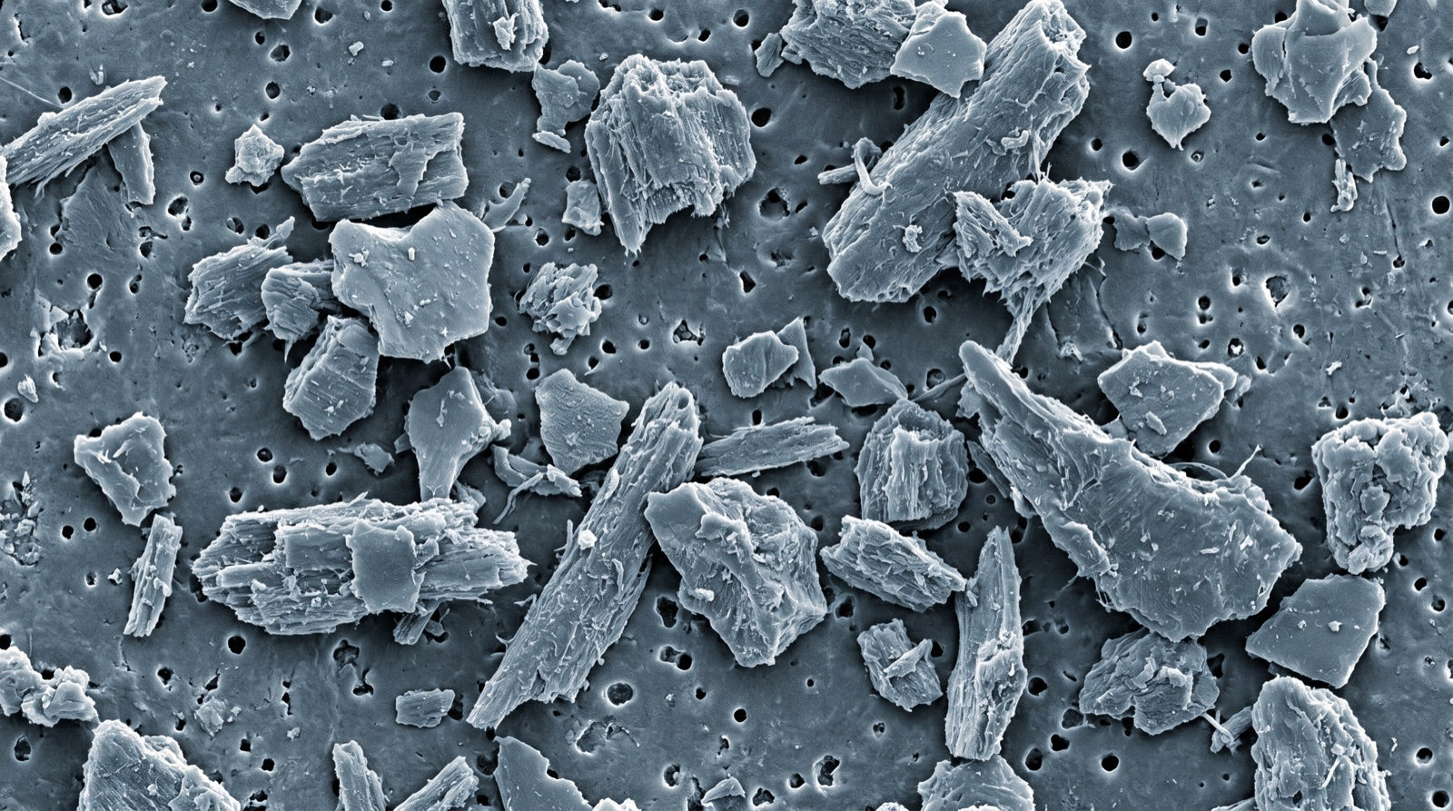 Scientific micrograph illustration of microplastic particles